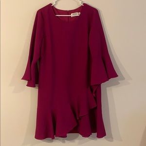 Fuschia Eliza J Dress